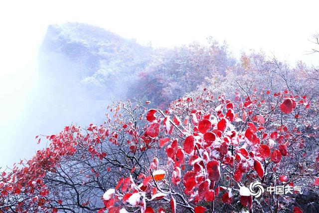 彩叶遇上白雪雾凇 解锁秋冬同框终极浪漫