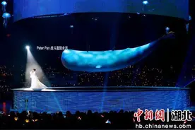 2024刘若英“飞行日”巡回演唱会宜昌站举行图片