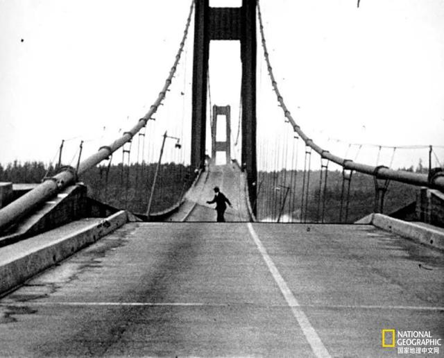 仅通车四个月就倒塌的大桥，意外在海底造就了一片新世界	，如今这里也要毁灭了