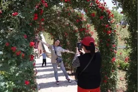 “硬核科技+花漾消费”，第九届国际月季大会在京开幕图片