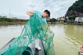 “90后”新农人返乡接棒：青蟹养殖塘里逐梦圆梦图片