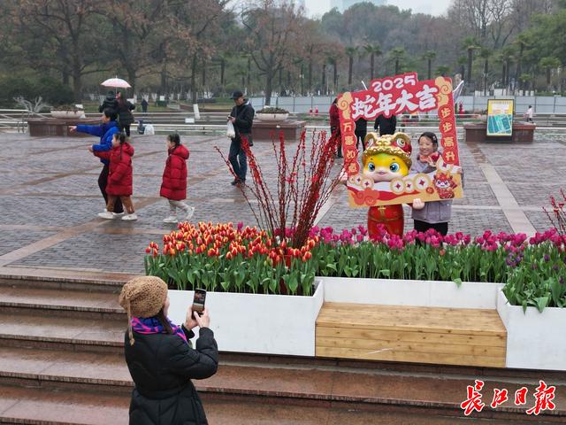 每年至少3场花展！武汉这座百年公园越来越年轻