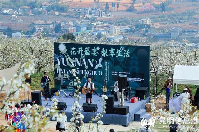 在乐居村 她把“绿水青山”变成“文旅金山”