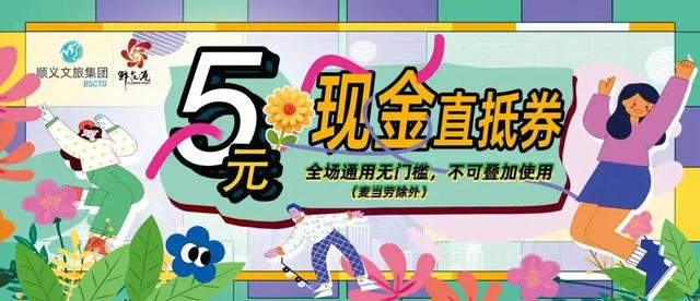 今开幕！顺义这片10万平米花海，壮观！