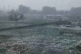 回暖将提上日程！雨雪渐停，成都晴天将回归图片