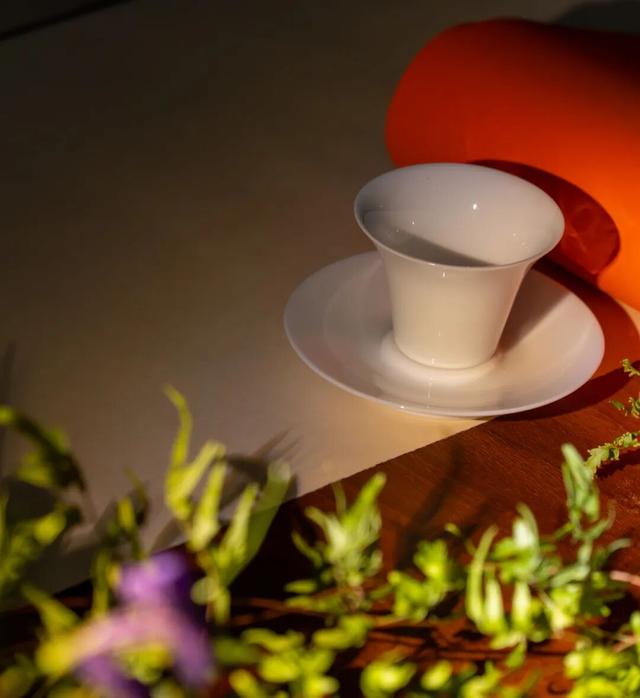 温暖一冬！南宁国际旅游中心百堂公益课精彩回归，文旅+品茶带你玩转新技能！