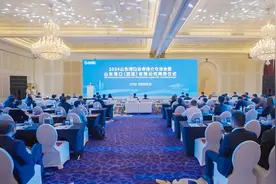 山东港口西亚公司在迪拜揭牌，架起中阿交流新桥梁图片