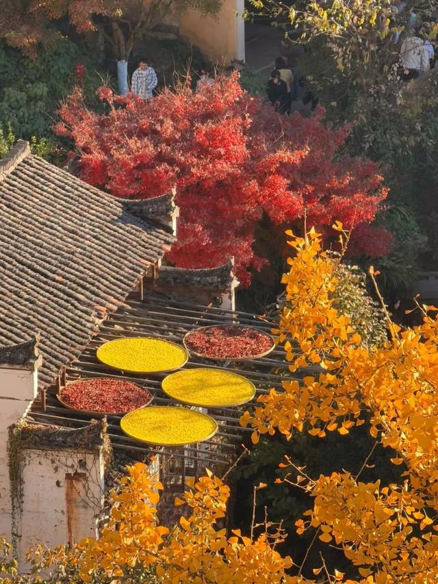 上饶荣登错峰赏秋热门目的地！跨年、寒假、春节连档，邀你共赴冬日诗意之旅