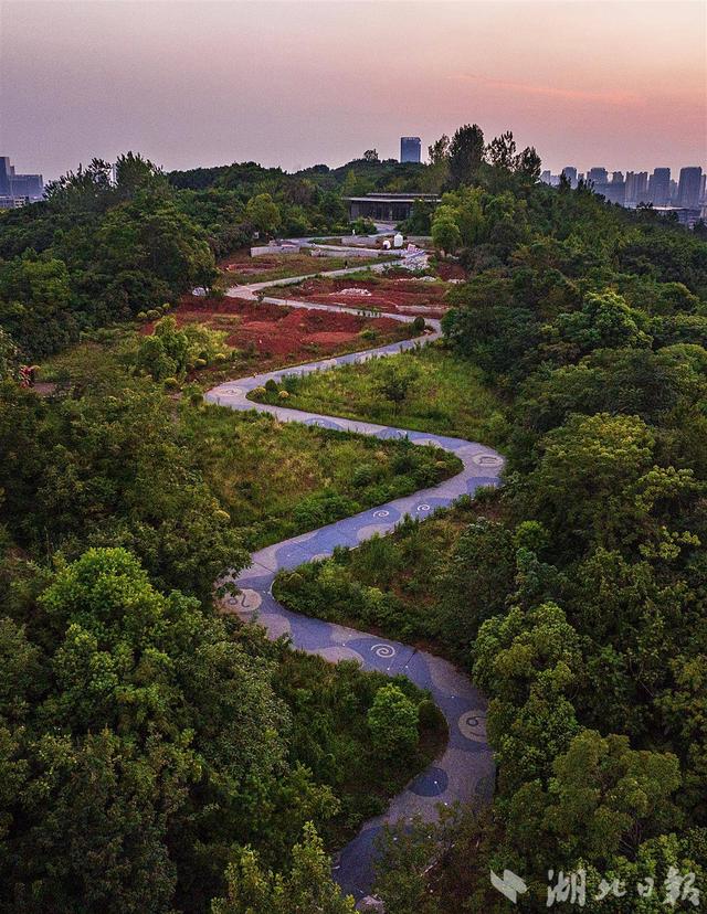 光谷黄龙山：有条山路十八弯的绿道