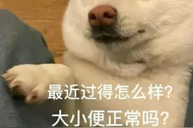 没见过这么粗的！女子腹中掏出60cm长、20cm粗的“巨蟒”！竟是因为……图片