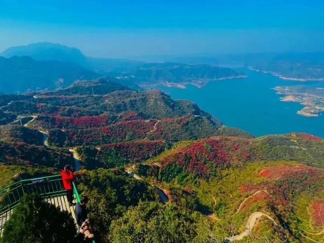 荆紫仙山红叶已进入最佳观赏期！