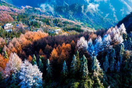 成都崇州即将迎来赏雪季啦！