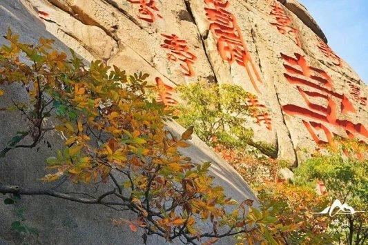 畅游青岛 文明相伴｜2025崂山赏秋地图发布，秋韵“大片”绝美上映！