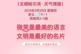 黑龙江省将于3月21日公布专升本考试成绩图片
