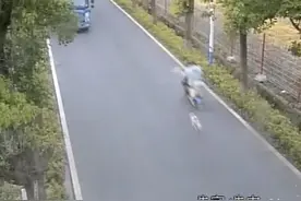 男子骑电动车被狗追赶，撞树当场身亡！狗主人被判担责20%图片