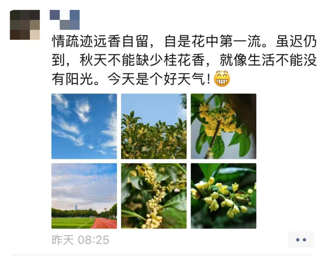 顶流来了！镇江人终于等到了