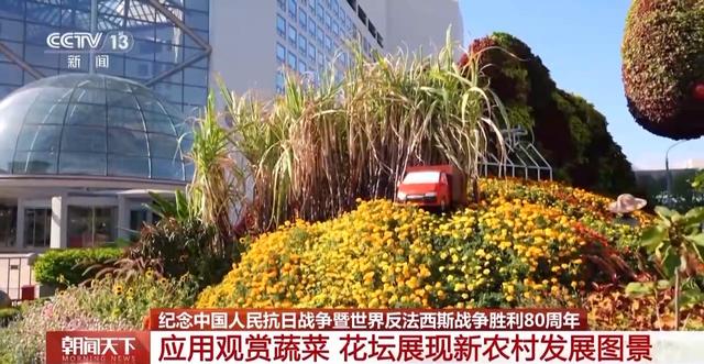 明天一起看阅兵｜天安门广场布置基本就绪，观礼包设计细节满满