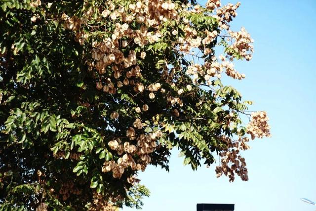 威海“封神”机位！走在路上一回头，整片大海扑进镜头里