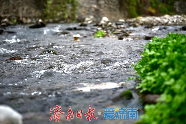 一年四季 泉在济南丨秋染南山 溪流更显清幽