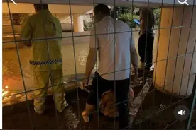 要火了！江阴这对父子→图片