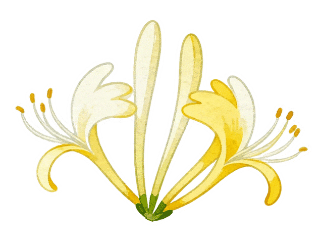 金奖！今起免费参观→