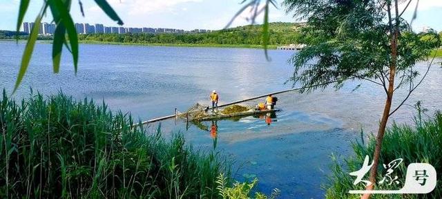 壹点号·秀山东｜山清水秀华山湖，鹊华秋色诗意浓