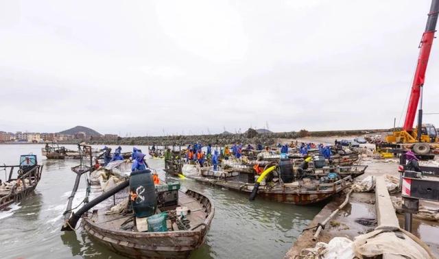 激活山海资源，三山镇花蛤小镇打造农文旅融合新范本