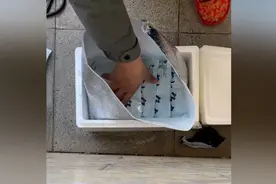 315维权丨鱼丸里检出“配料表未标明的猪成分”被判三倍赔偿，彩虹星球不服提请上诉视频封面