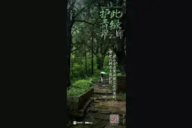 护此青绿丨海报图片