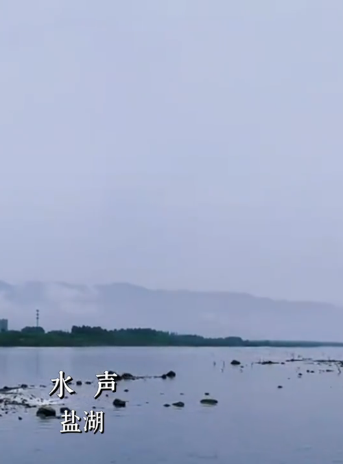 关掉BGM吧！这个夏天，运城大自然的声音比任何音乐都动人
