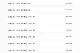 三“苏宁系”公司被申请重整，前年苏宁系总负债超过2千亿元图片