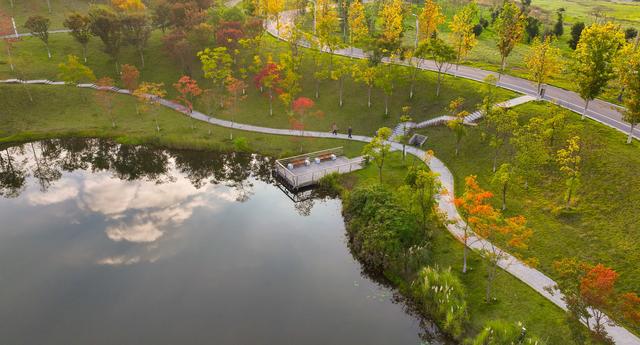 镜鉴｜定格美丽重庆：湿地公园 秋色宜人