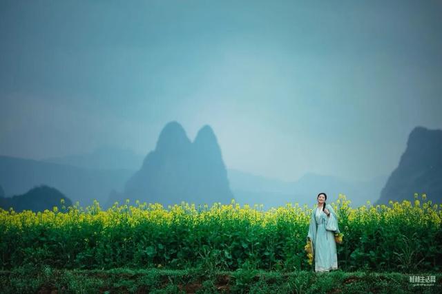 赶紧收藏！2026桂林早春赏花攻略！周末出游直接冲！