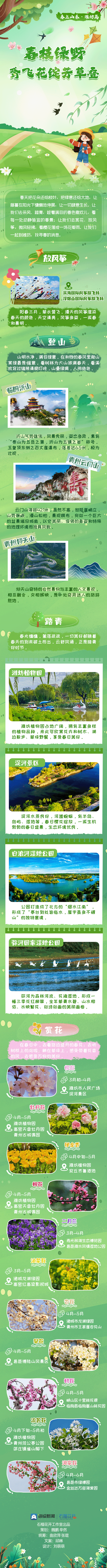 春上山东·潍坊篇丨春枝绿野，鸢飞花绽芳草叠图片