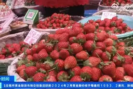 草莓大降价！比去年便宜超20%，大个奶油草莓一斤30元左右图片