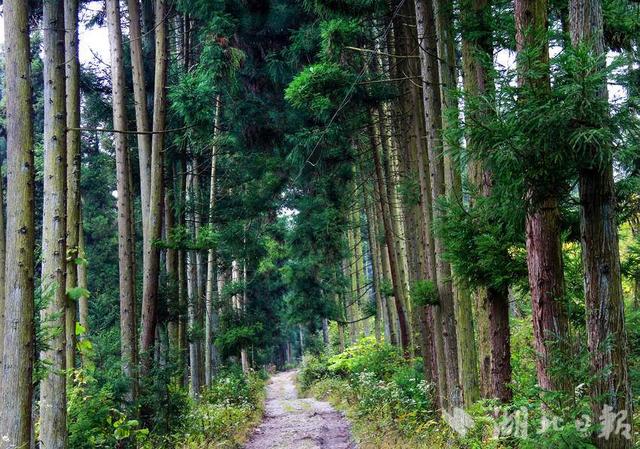 组图|圣水天池佛宝山