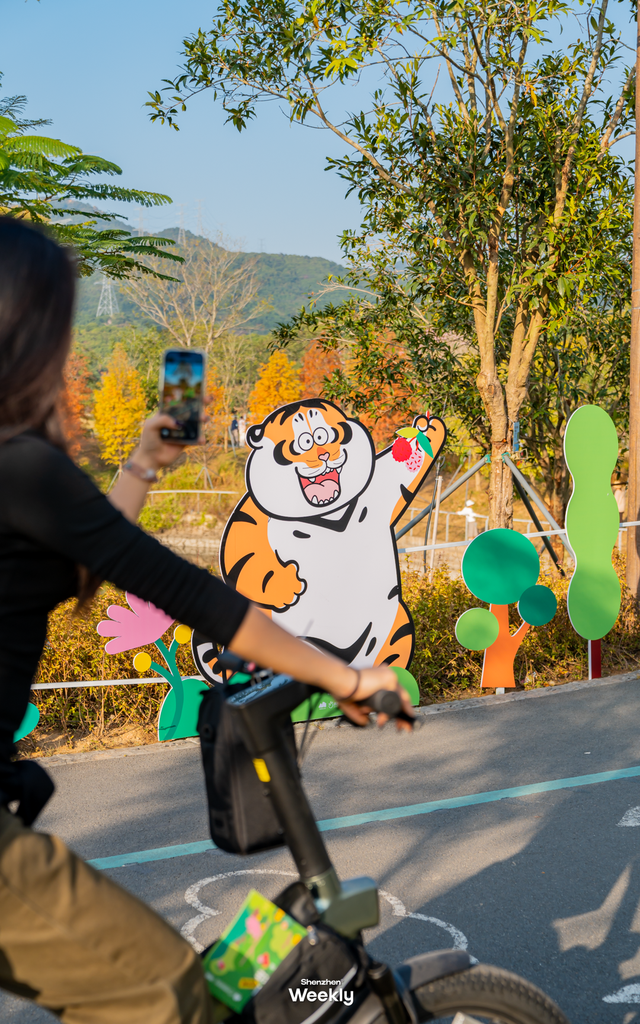 出发！去深圳最特别的「胖虎主题市集」，逛吃一天