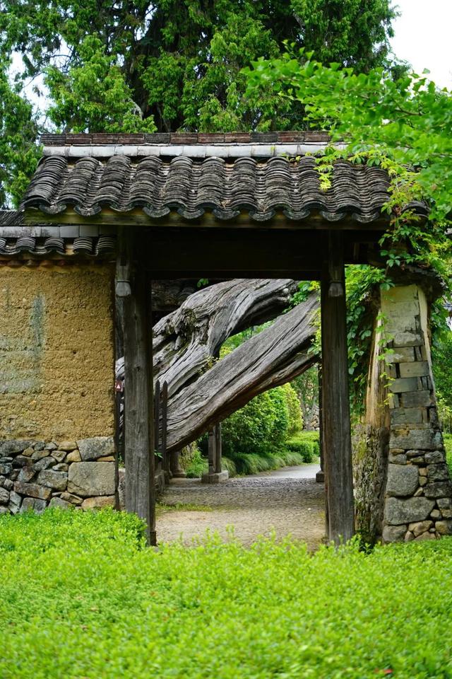 浙闽廊桥丨钟晓波：时思寺秘境 行走江南古村-寻数十座山水廊桥（10/3-7）