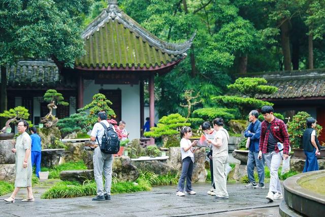 开启盛唐穿越之旅 来杜甫草堂收获“超出片”的文化体验