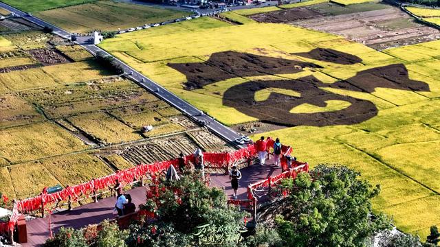 黔西南兴义：万峰林里好“丰”景
