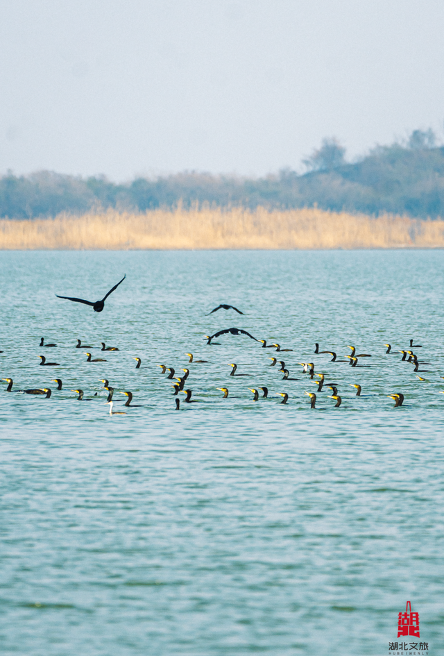 玩转湖北冬日！带你热“雪”沸腾！