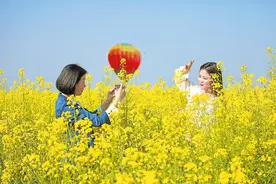 “美景”变“钱景”，共赴春天的约会图片