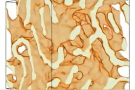 全世界最硬的东西：“核面食”图片