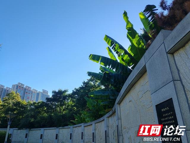 【高清湖南】在湘阴郭嵩焘文化公园，邂逅人文与活力
