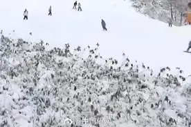 近期热门！提醒：3到5分钟就会窒息图片