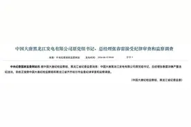 大唐集团黑龙江分公司总经理张春雷等相继被查图片