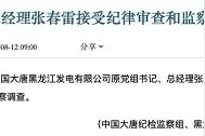 大唐集团黑龙江分公司总经理张春雷等相继被查图片