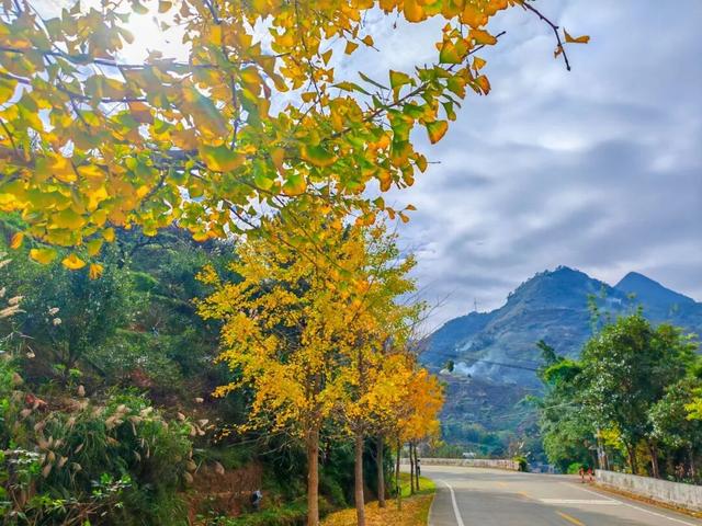 信宜这条“黄金走廊”很出片