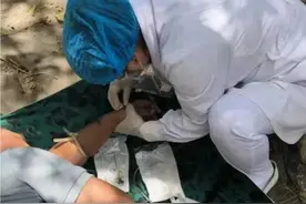 胸痛救治一线｜急危重症应治尽治！东营驴友突发心梗，平度三医胸痛中心成功施救图片