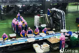 蚌埠固镇：“小肉鸡”长成“大产业”图片